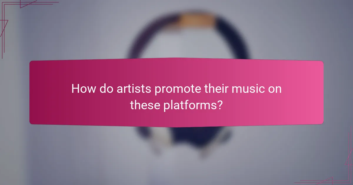 How do artists promote their music on these platforms?